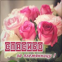 Открытка спасибо за племянницу