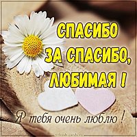 Открытка спасибо за спасибо любимая
