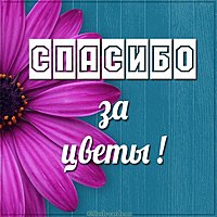 Открытка спасибо за цветы