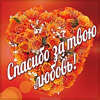 Открытка спасибо за твою любовь