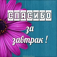 Открытка спасибо за завтрак
