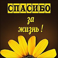 Открытка спасибо за жизнь