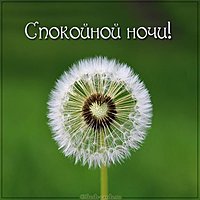 Открытка спокойной ночи любимому человеку