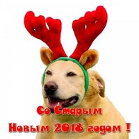Открытка старый новый год 2018 собаки