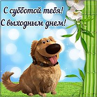 Открытка суббота выходной