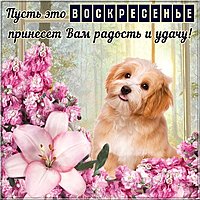 Открытка удачного воскресного дня