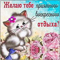 Открытка воскресенье выходной бесплатно