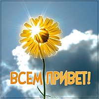 Открытка всем привет