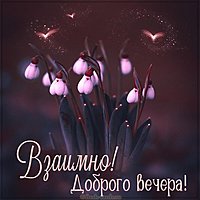 Открытка взаимно доброго вечера