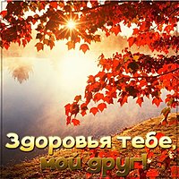 Открытка здоровья тебе мой друг