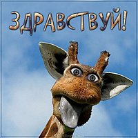 Открытка здравствуй для мужчины