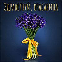 Открытка здравствуй красавица