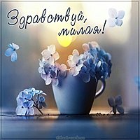 Открытка здравствуй милая