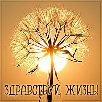 Открытка здравствуй жизнь