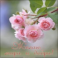 Открытка желаю мира и добра