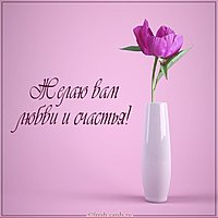 Открытка желаю вам любви и счастья