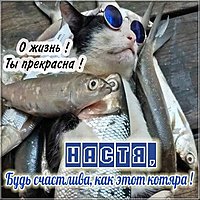 Отличная прикольная картинка с именем Настя