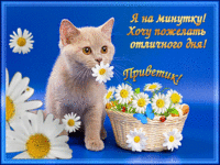 Отличного дня