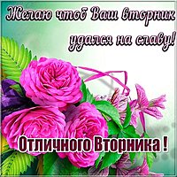 Отличного вторника открытка красивая