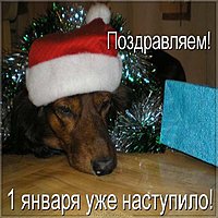 Первый день года картинка