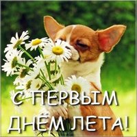 Первый день лета картинка прикольная