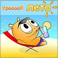 Первый день лета картинка смешная