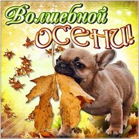 Первый день осени картинка смешная