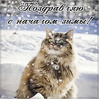 Первый день зимы открытка бесплатная
