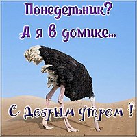 Понедельник картинка прикольная с надписями доброе утро