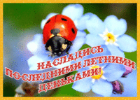 Последнии деньки лета