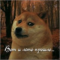 Последний день лета картинка смешная
