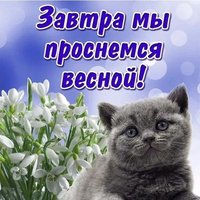 Последний день зимы картинка прикольная