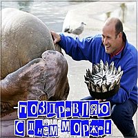 Поздравительная картинка на день моржа