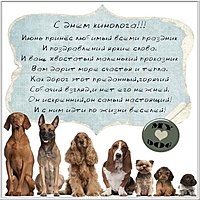Поздравительная картинка с днем кинолога