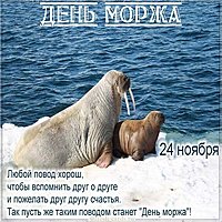 Поздравительная картинка с днем моржа