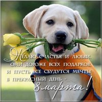 Поздравительная открытка 8 марта фото