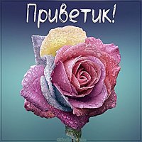 Поздравительная открытка приветик