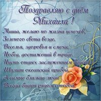 Поздравительная открытка с днем Миши