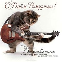 Поздравительная открытка с днем рождения с котами