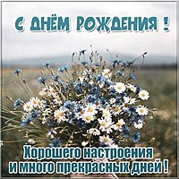 Поздравительная открытка с др