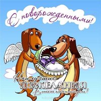 Поздравительная открытка с рождением двойняшек