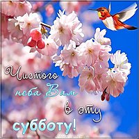 Поздравительная открытка с субботой
