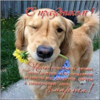 Поздравление с 8 марта в картинке прикольное