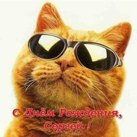 Поздравление с днем рождения Сергею прикольная открытка