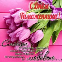 Поздравление с днем таможенника картинка