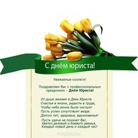 Поздравление с днем юриста в прозе коллегам