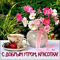 Поздравление с добрым утром девушке в картинке