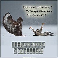 Поздравление с пятницей открытка с юмором