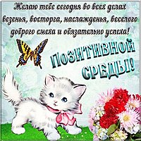 Поздравление со средой картинка прикольная смешная
