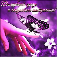 Поздравление со средой открытка